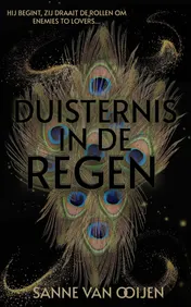 Omslag van Duisternis in de regen
