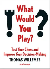 Omslag van What Would You Play?