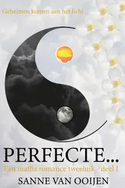 Omslag van Perfecte...