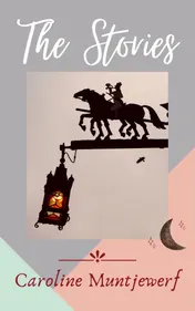 Omslag van The Stories