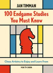 Omslag van 100 Endgame Studies You Must Know