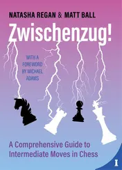 Omslag van Zwischenzug!
