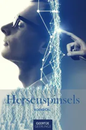 Omslag van Hersenspinsels