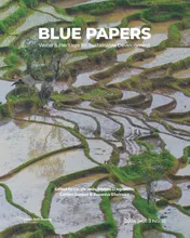Omslag van Blue Papers