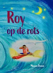 Omslag van Roy op de rots