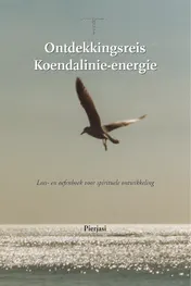 Omslag van Ontdekkingsreis Koendalinie-energie