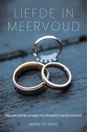 Omslag van Liefde in meervoud
