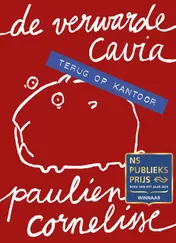Omslag van De verwarde cavia - Terug op kantoor
