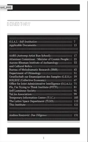 Omslag van Self-Institution/ Terminology Audit
