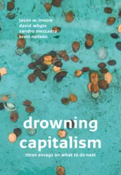 Omslag van Drowning Capitalism