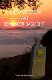 Omslag van In het voetspoor van een ander daglicht