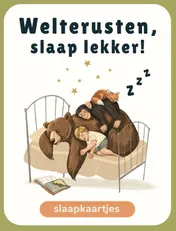 Omslag van Welterusten, slaap lekker!