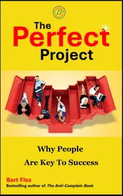 Omslag van The Perfect Project