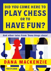 Omslag van Did You Come Here to Play Chess or to Have Fun?