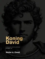 Omslag van Koning David