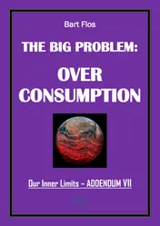 Omslag van The Big Problem: Overconsumption