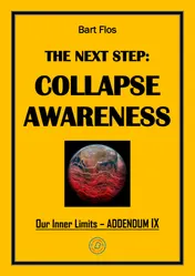 Omslag van The Next Step: Collapse Awareness