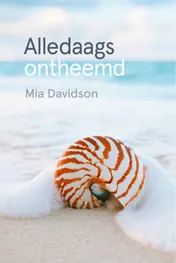 Omslag van Alledaags ontheemd