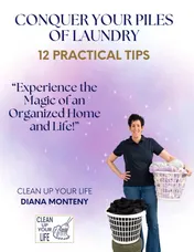 Omslag van Conquer Your Piles of Laundry