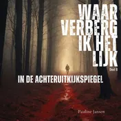 Omslag van In de achteruitkijkspiegel