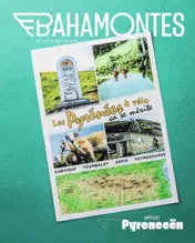 Omslag van Pyreneeën / druk 1