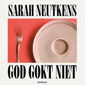 Omslag van God gokt niet
