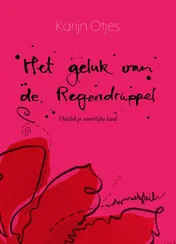 Omslag van Het geluk van de regendruppel