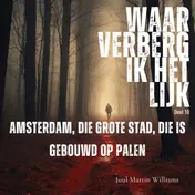 Omslag van Amsterdam, die grote stad, die is gebouwd op palen