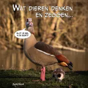 Omslag van Wat dieren denken en zeggen