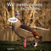 Omslag van Wat dieren denken en zeggen