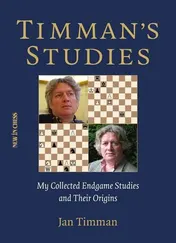 Omslag van Timman's studies
