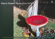 Omslag van Nature Related Works of Art 2025