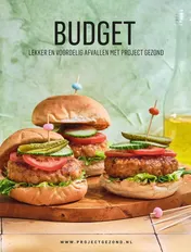 Omslag van Budget