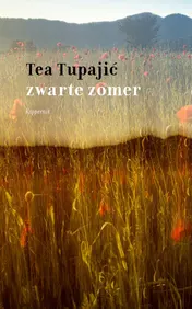 Omslag van Zwarte zomer