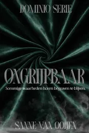 Omslag van Ongrijpbaar