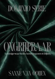 Omslag van Ongrijpbaar