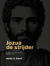 Omslag van Jozua de strijder