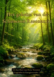 Omslag van Het geheim van de Schumann Resonantie