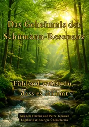 Omslag van Das Geheimnis der Schumann-Resonanz