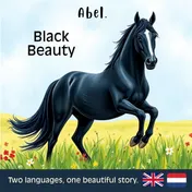 Omslag van Black Beauty