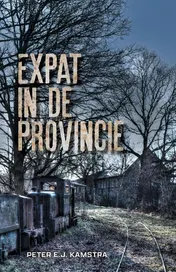 Omslag van Expat in de provincie