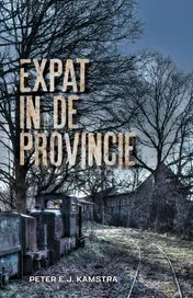 Omslag van Expat in de provincie