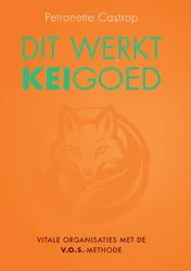 Omslag van Dit werkt keigoed