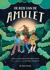 Omslag van De reis van de amulet