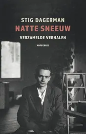 Omslag van Natte sneeuw