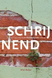 Omslag van Schrijnend