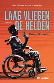 Omslag van Laag vliegen de helden