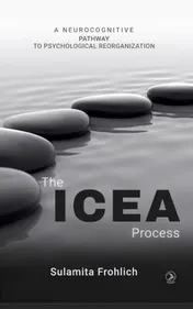 Omslag van The ICEA Process
