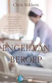 Omslag van Engel van beroep