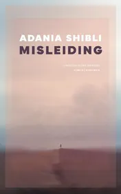 Omslag van Misleiding